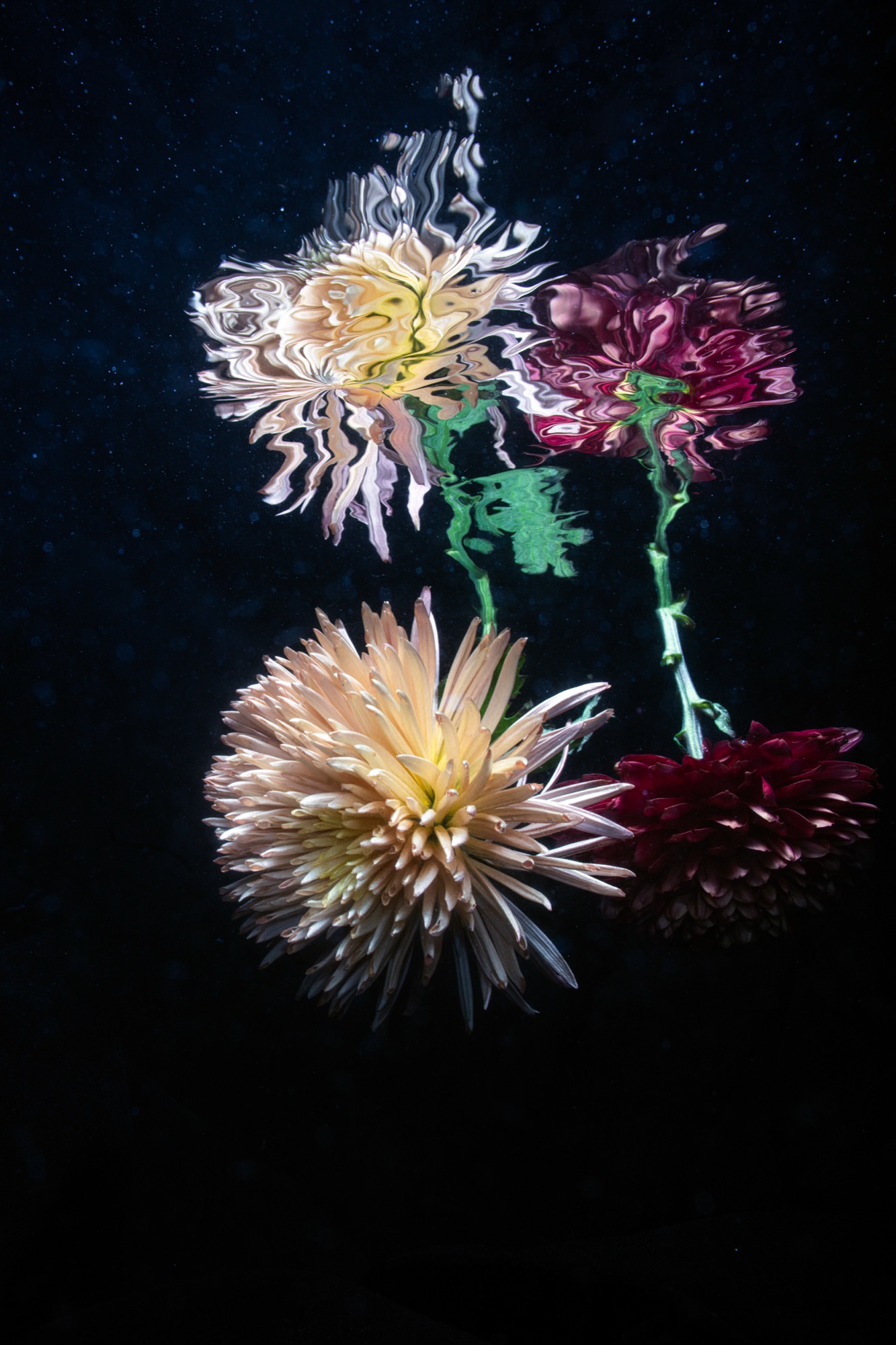 duet 2021 — natural digital by Robin Cerutti